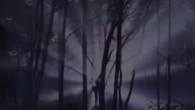 救援萌老虎