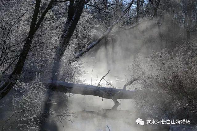 福州首条温泉主题水街开放 整条溪都是温泉水