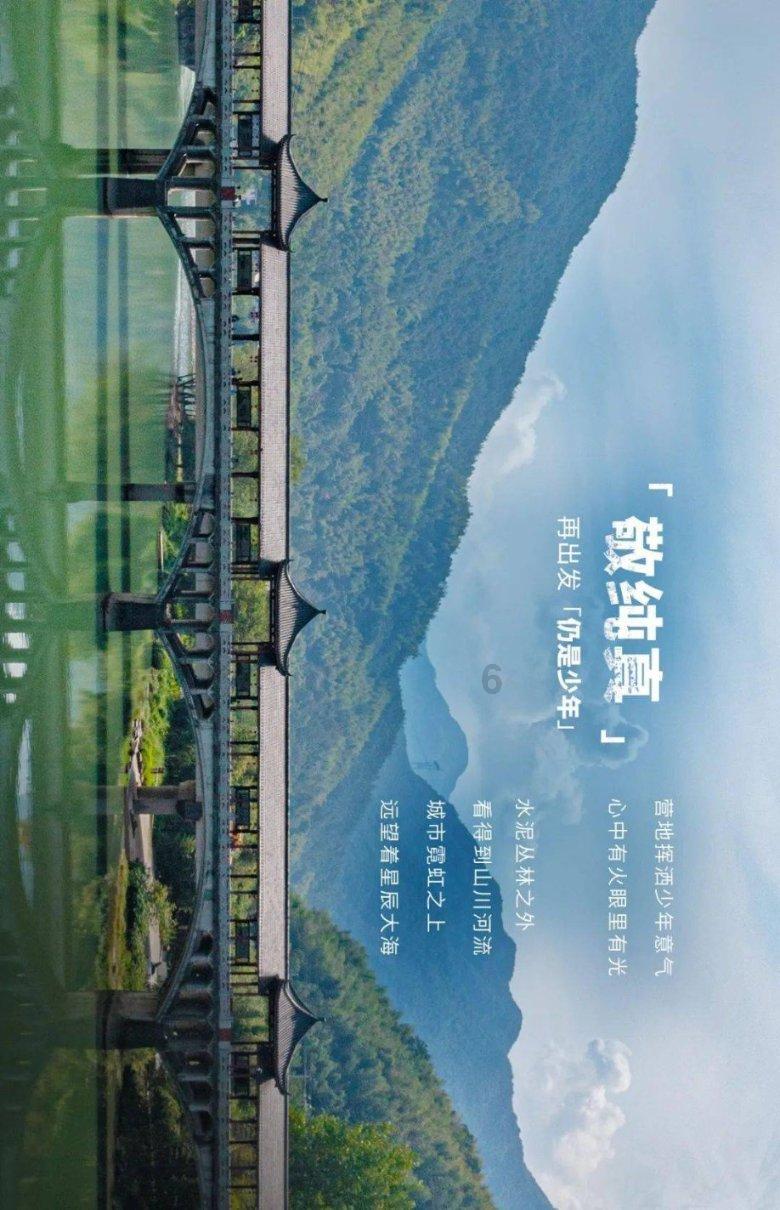 救援可爱小猪仔