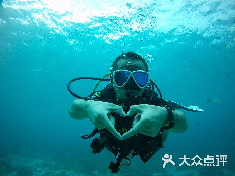 动物帮帮忙保卫家园
