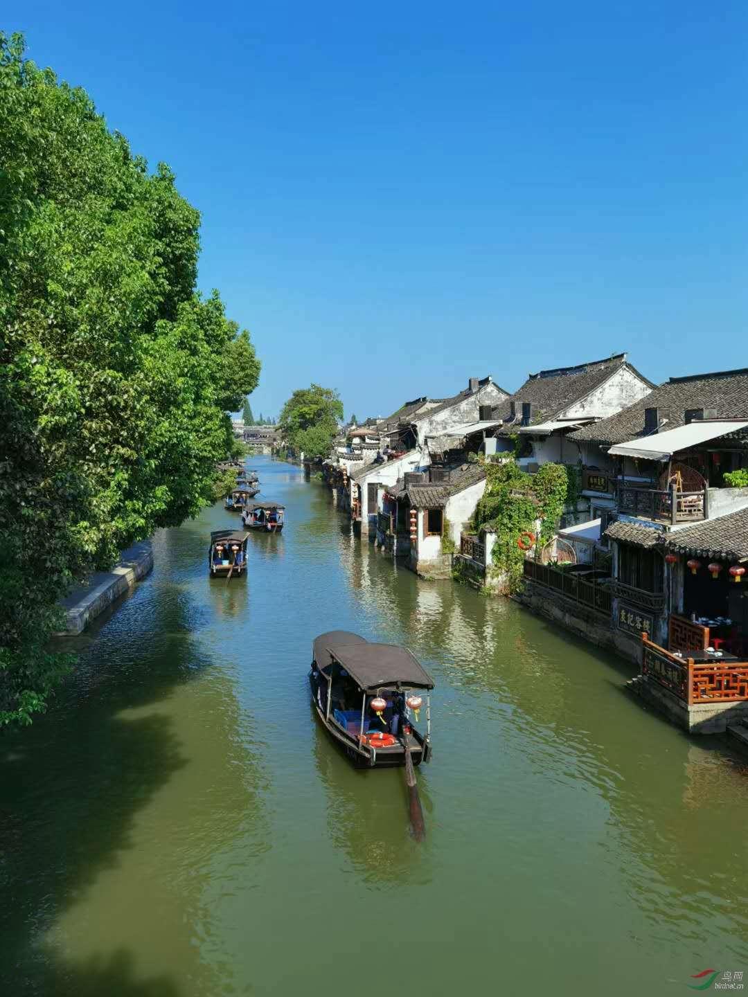 校园女生找不同3