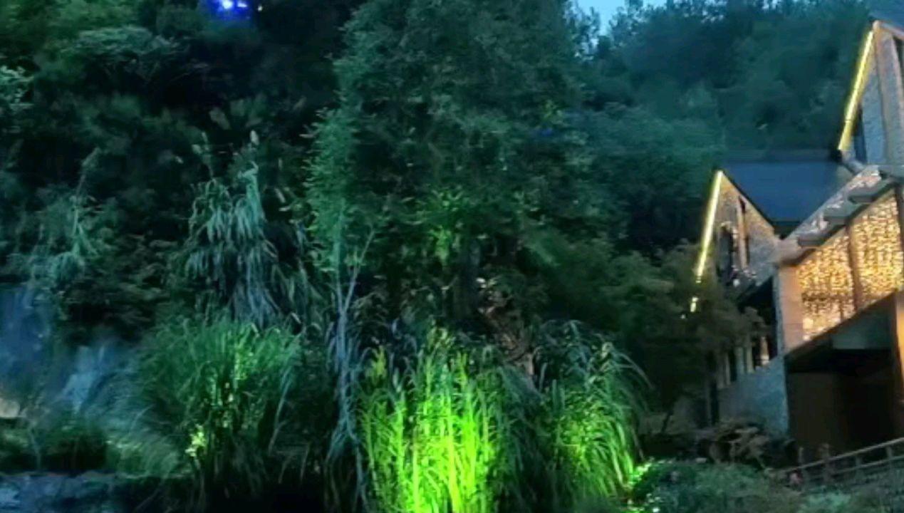 “电音朵拉”秦岚的嗓子,终于恢复
